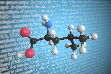 Molecular model of leucine, 3D rendering