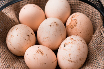 natural chicken eggs in a basket