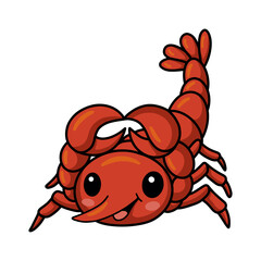 Cute little lobster cartoon character