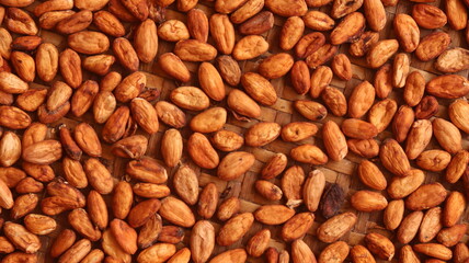 dry, fermented cocoa beans that look bright and clean. These cocoa beans are located on a woven bamboo