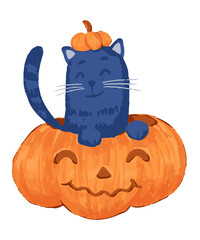 Cat in Pumpkin