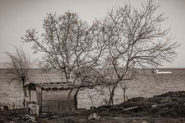 Old abandoned house.