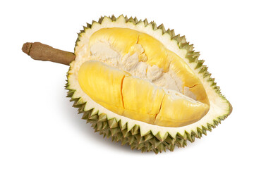 Fresh Organic Durian cut in half, King of Fruits which is the most popular in Thailand, isolated on white background. Clipping path