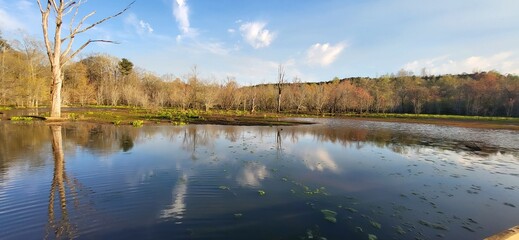 landscape with lake