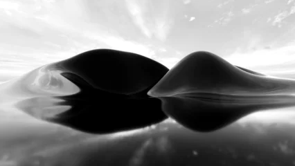 Gordijnen Reflection. Abstract illustration. Minimal modern concept. Black and white © ryhsfoster