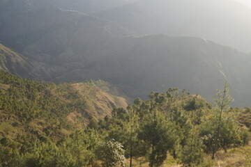 misty morning in the mountains