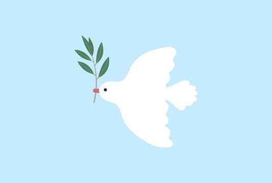 青空を飛ぶオリーブの葉が付いた枝をくわえた白い鳩- 平和・Peace Day・停戦のイメージ素材