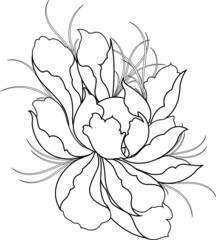 Illustration vector abstract flower hand drawn nature painting freehand sketch illustration.