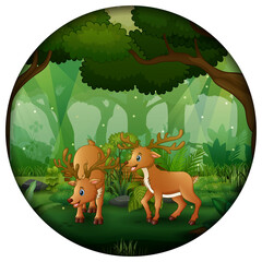 Forest scene with mother deer and cub in circular frame