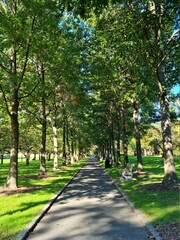 Footpath in the park