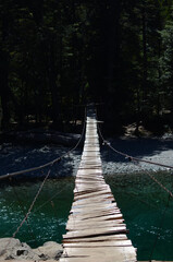 wooden bridge in the forest