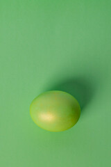 one green egg on a green background. High quality photo