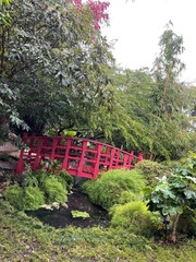 japanese garden in autumn