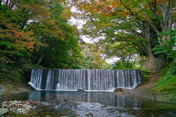 滝の風景（日本の山形県）