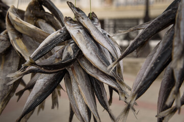 Bunch of dried fish on embankment of city Balaklava, Crimea