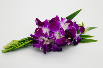 Flowers that are commonly used for worshiping Buddha images. Purple orchid flowers and pandan leaves tied in a bouquet, white background,Include Clipping Path.
