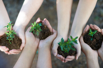 Were all in this together. Cropped shot of a group of people holding plants growing out of soil.