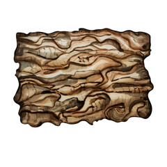 Wooden plank, old tree bark watercolor illustration