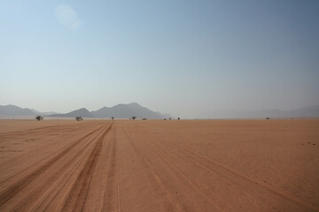 Fototapeta na wymiar the wild desert of Namibia, hoanib valley 