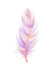 Colorful Gradient Feather Composition
