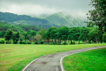 panoramic background of high mountain scenery, overlooking the atmosphere of the sea, trees and wind blowing in a cool blur, spontaneous beauty