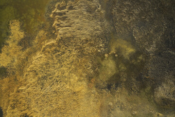 water surface of the lake and reeds top view background backdrop