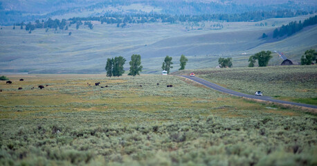 Fototapeta premium The sun setting over the Lamar Valley near the northeast entrance of Yellowstone National Park in Wyoming.