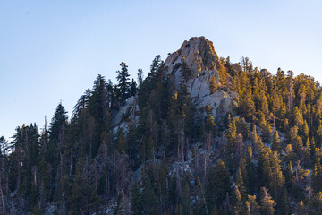 Views from the top of San Jacinto State Park in Palm Springs, California during sunset with woods lit on one side by sunshine. 