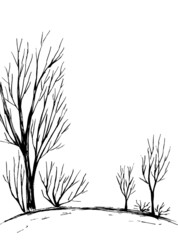 Bare trees and bushes in black on a white background
