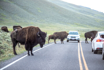 The sun setting over the Lamar Valley near the northeast entrance of Yellowstone National Park in Wyoming. © digidreamgrafix