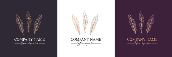 Feather logo vector template. Abstract design, elegant style. Brand for writer, yoga and other businesses.