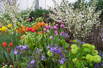 A variety of flowers at the exhibition  in the greenhouse of the botanical garden.