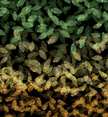 The background is made of green leaves turning into orange. Spring leaves turn into autumn leaves. Foliage designs postcard. Vector decoration. Illustration of a leaf frame.