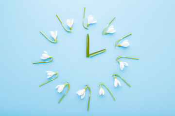 Fototapeta premium Flower clock created from white fresh beautiful snowdrops and green leaves on light blue table background. Pastel color. First messengers of spring. Time concept. Closeup. Top down view.