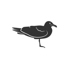 Silhouette Camar bird icon vector illustration design