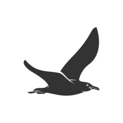 Silhouette Camar bird icon vector illustration design