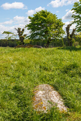 Old tombstone on a desert cemetery