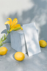 Blank paper mockup, template on gypsum cube, leaves shadow. Сombination of yellow and gray shades.