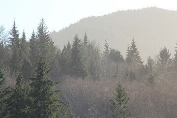 Mountains silhouette in complex orange gradations in the morning.