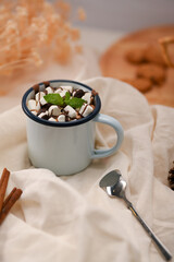 Tasty hot chocolate topping with tiny marshmallow and mint