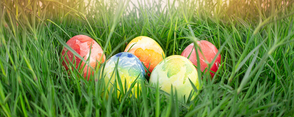 Easter banner. Colored eggs in green grass. Easter concept. Copy space