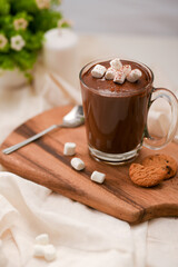 Hot chocolate with marshmallow on a wooden tray with soft cookies.