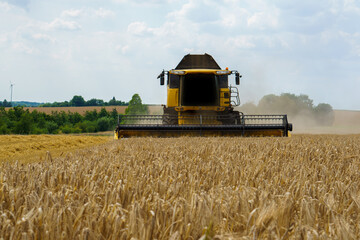 Ernte, Korn, Getreide, Mähdrescher, Landwirt, Bauer, Sommer, Landschaft, Stroh, Ackerbau