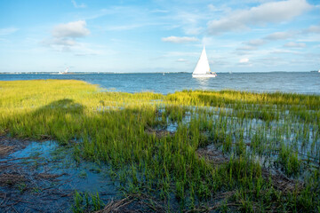 Fototapeta premium Waterfront park in Charleston, SC