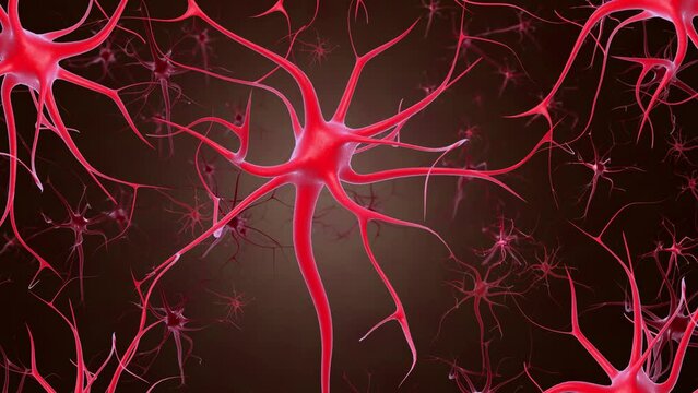 Neurons and neural connections 3D render. Neuronal activity in the brain, neurogenesis, neurotransmitters, electricity in the brain, synapses, dendroid, neurotransmitters.  Nerve cells animation