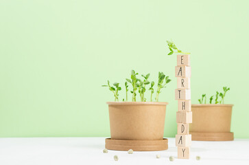 Earth day background - young peas sprout potted in craft pots, lettering on wood cubes on white wood table, pastel green wall.