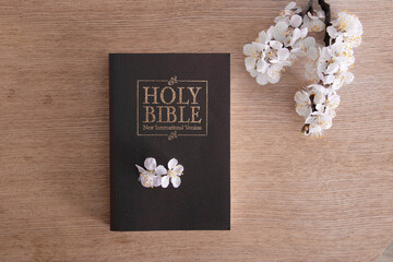 Top view holy bible on a table with spring flowers. bible study spring concept