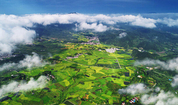 The rice granary in the south of anhui