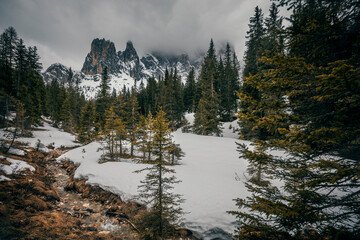 winter landscape in the mountains