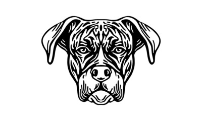 Boxer dog logo pet portrait